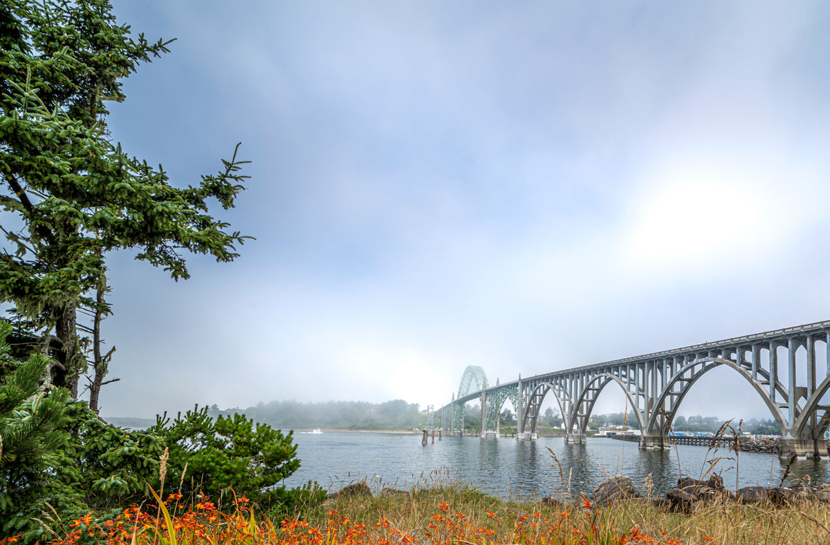 Bridge in the Mist