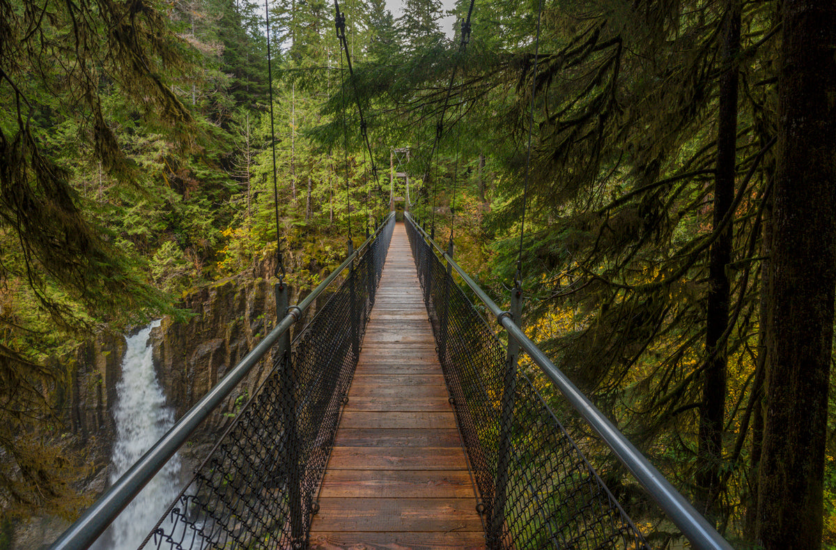 Bridge Drift Creek Falls