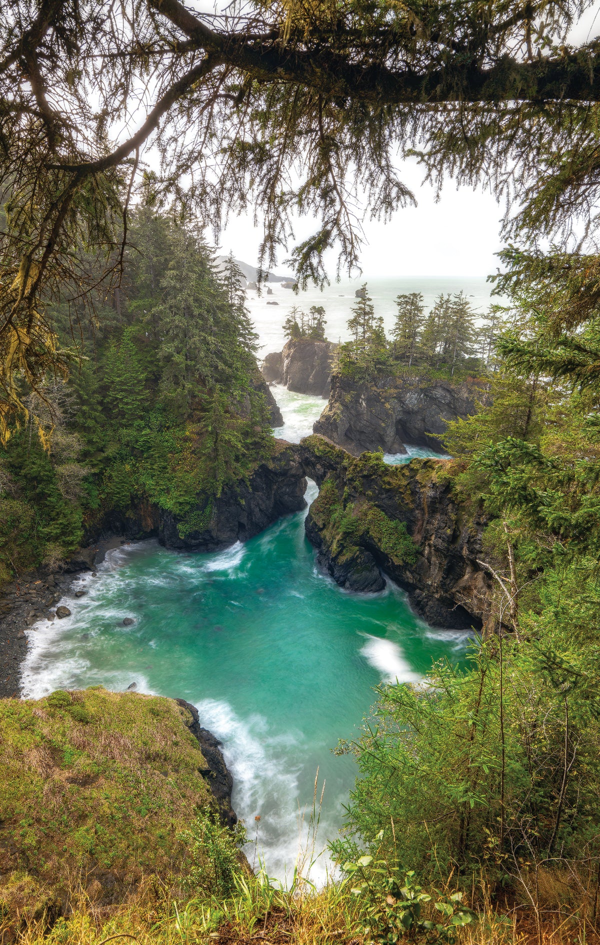 Edge of the World - Brookings Or
